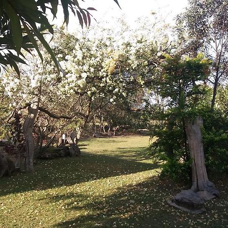 Pousada Sitio Da Serra Carrancas Εξωτερικό φωτογραφία