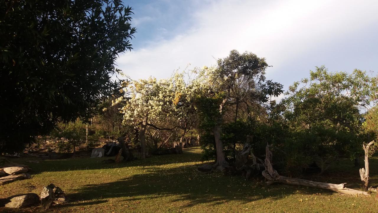 Pousada Sitio Da Serra Carrancas Εξωτερικό φωτογραφία