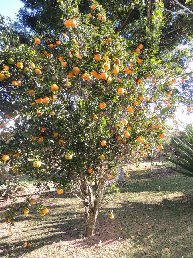 Pousada Sitio Da Serra Carrancas Εξωτερικό φωτογραφία
